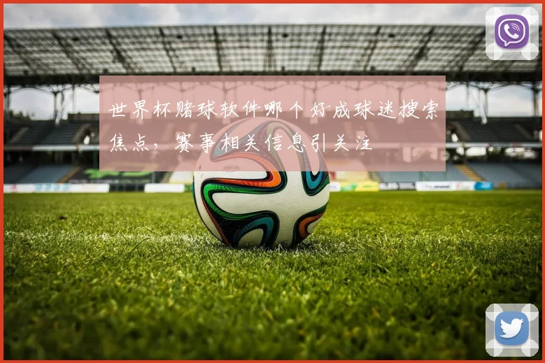 世界杯赌球软件哪个好成球迷搜索焦点，赛事相关信息引关注