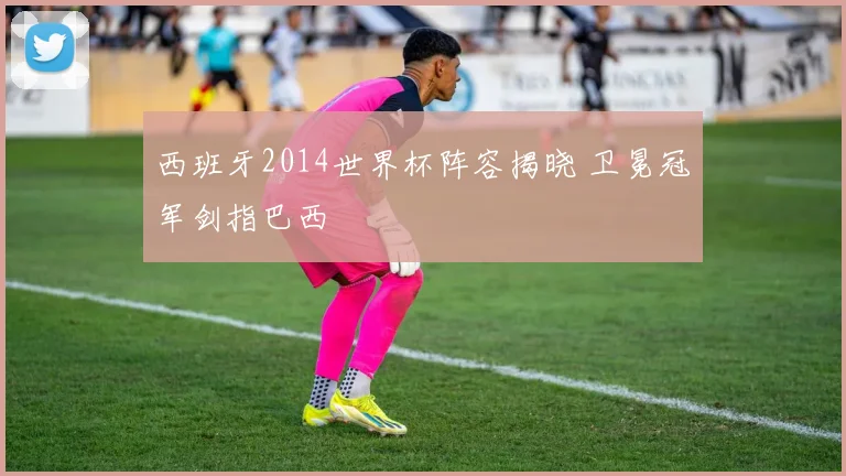 西班牙2014世界杯阵容揭晓 卫冕冠军剑指巴西